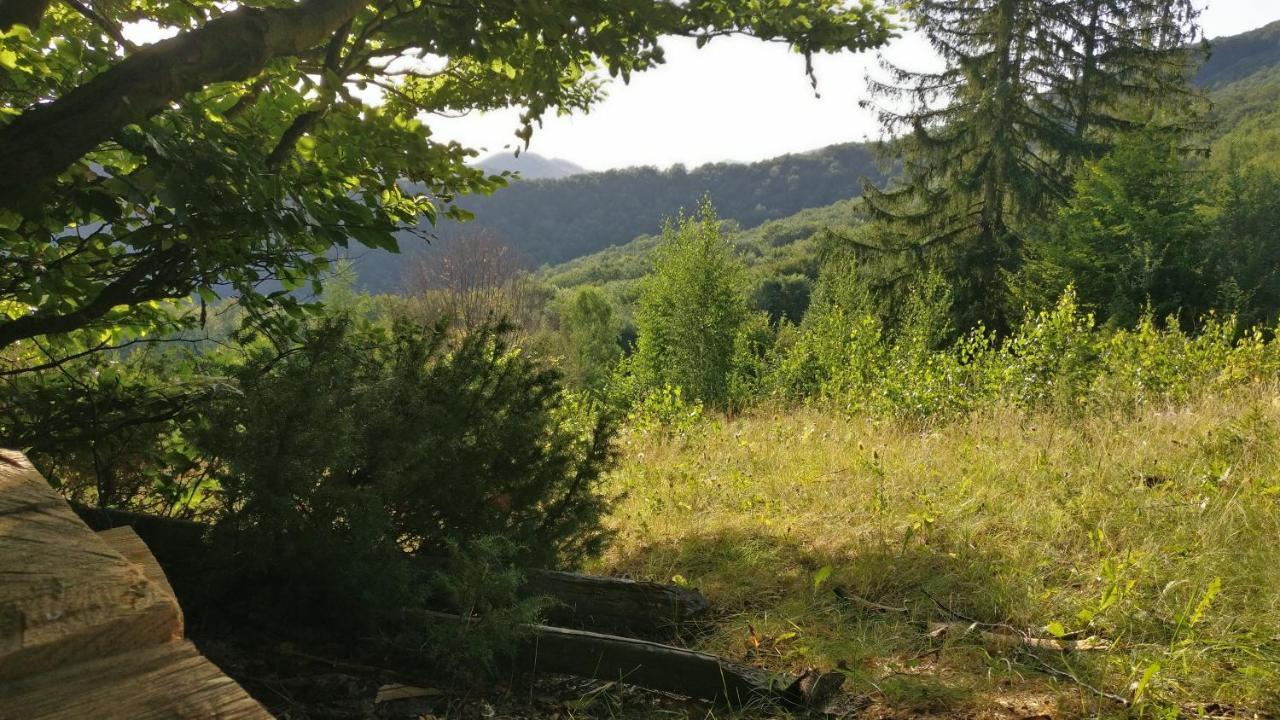 Садиба Федорчуків За Рікою Sheshory Exterior foto